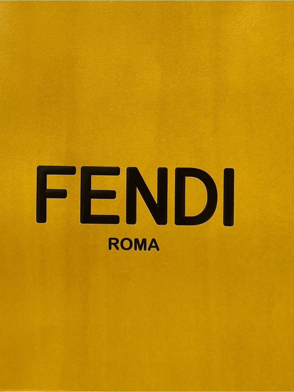 Authentic Fendi Roma Large Hard-Sided Boutique Gift Bag + Satin Ribbon - Picture 2 of 10